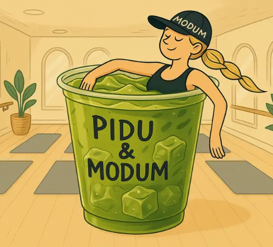 Inicio 2 PIDU-Y-MODUM-CHILE